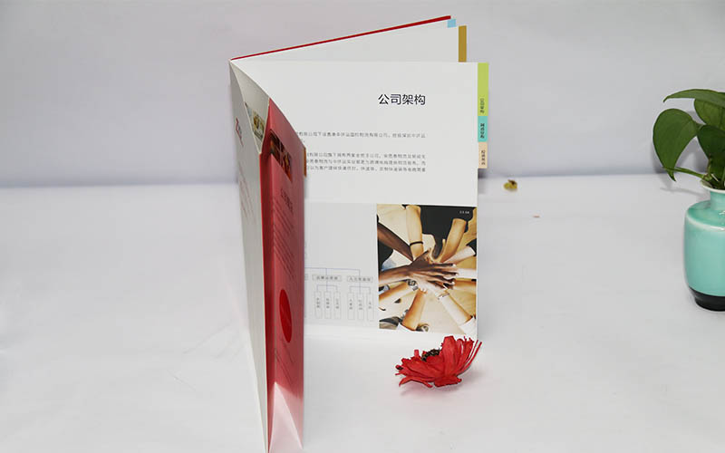 宣傳畫冊印刷廠家,畫冊印刷,企業畫冊印刷廠家